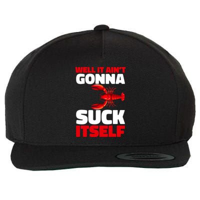 Well It AinT Gonna Suck Itself Crawfish Crustacean Seafood Gift Wool Snapback Cap