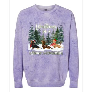 Walking In A Wiener Wonderland Dachshund Trio Cool Gift Colorblast Crewneck Sweatshirt