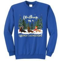 Walking In A Wiener Wonderland Dachshund Trio Cool Gift Sweatshirt