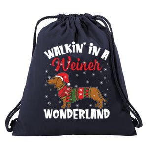 Walking In A Wiener Wonderland Funny Dachshund Christmas Gift Drawstring Bag