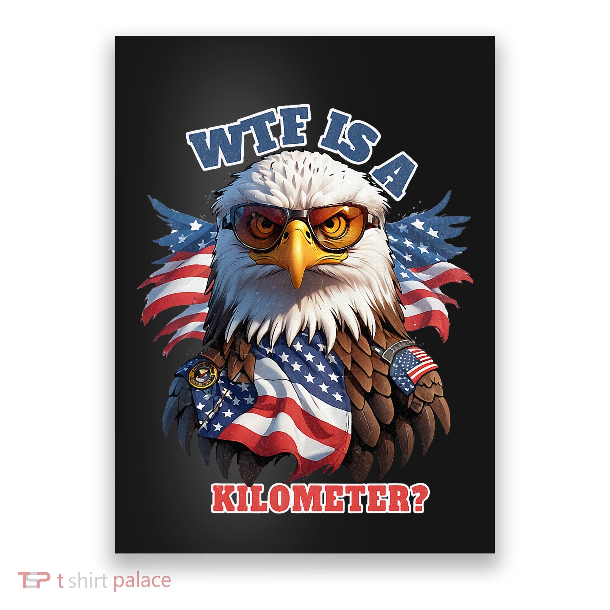 Wtf Is A Kilometer Eagle Usa July 4th Poster