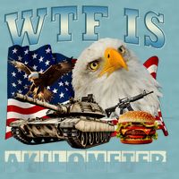 Wtf Is A Kilometer Eagle Badge American Signature Burger Sueded Cloud Jersey T-Shirt