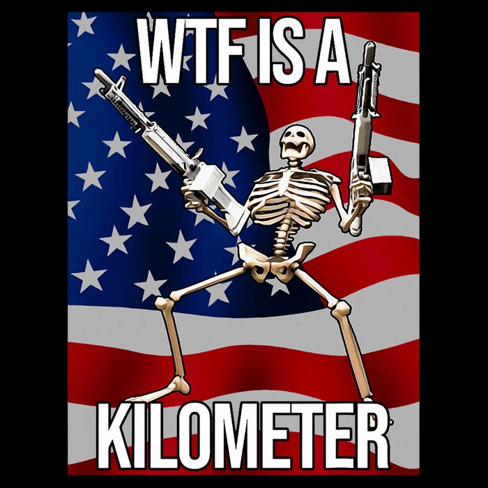 Wtf Is A Kilometer American Skeleton Funny Poster