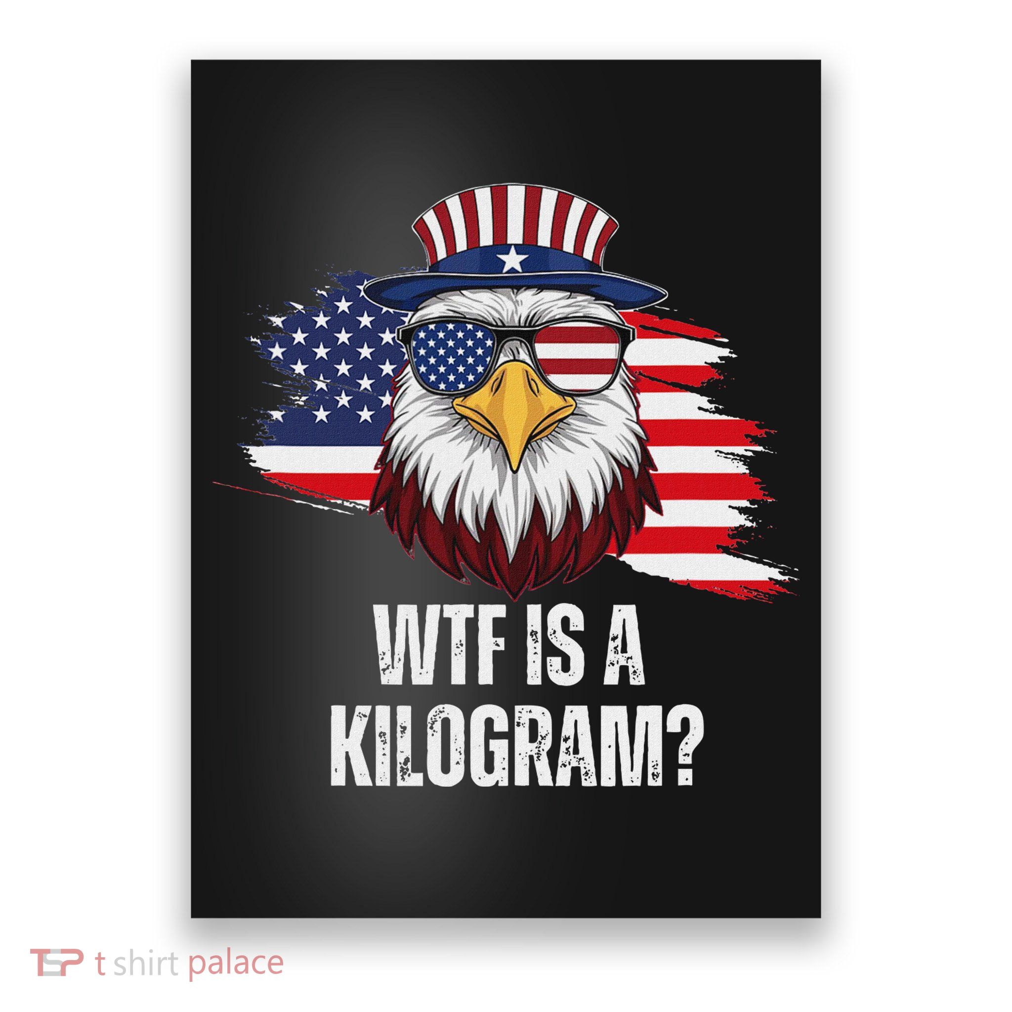 Wtf Is A Kilogram Funny 4th Of July Eagle Usa2024 Patriotic Poster