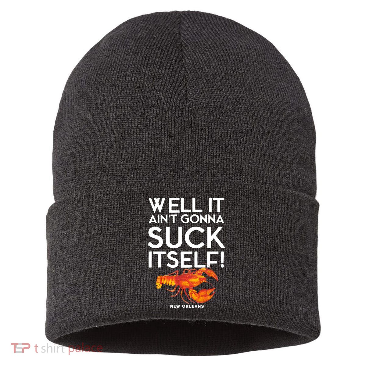 Well It Aint Gonna Suck Itself Lobster New Orleans Sustainable Knit Beanie