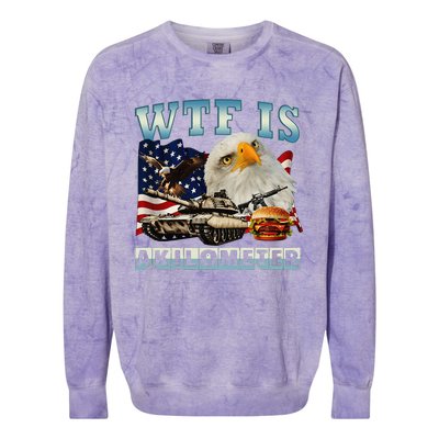 Wtf Is A Kilometer Eagle Badge American Signature Burger Gift Colorblast Crewneck Sweatshirt