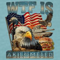 Wtf Is A Kilometer Eagle Badge American Burger 4th Of July Sueded Cloud Jersey T-Shirt