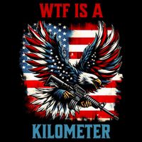 Wtf Is A Kilometer Eagle Badge American Flag Sustainable Bucket Hat