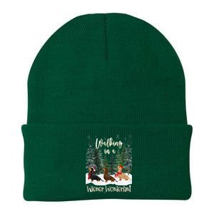 Walking In A Wiener Wonderland Dachshund Trio Knit Cap Winter Beanie