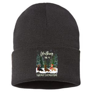 Walking In A Wiener Wonderland Dachshund Trio Sustainable Knit Beanie