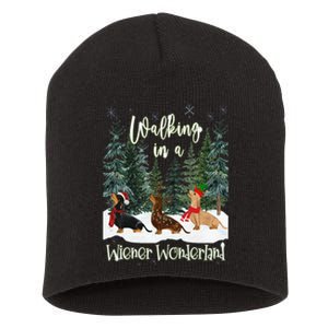 Walking In A Wiener Wonderland Dachshund Trio Short Acrylic Beanie