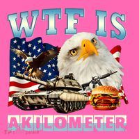 Wtf Is A Kilometer Eagle Badge American Funny 4th Of July Stripe Pom Pom Beanie