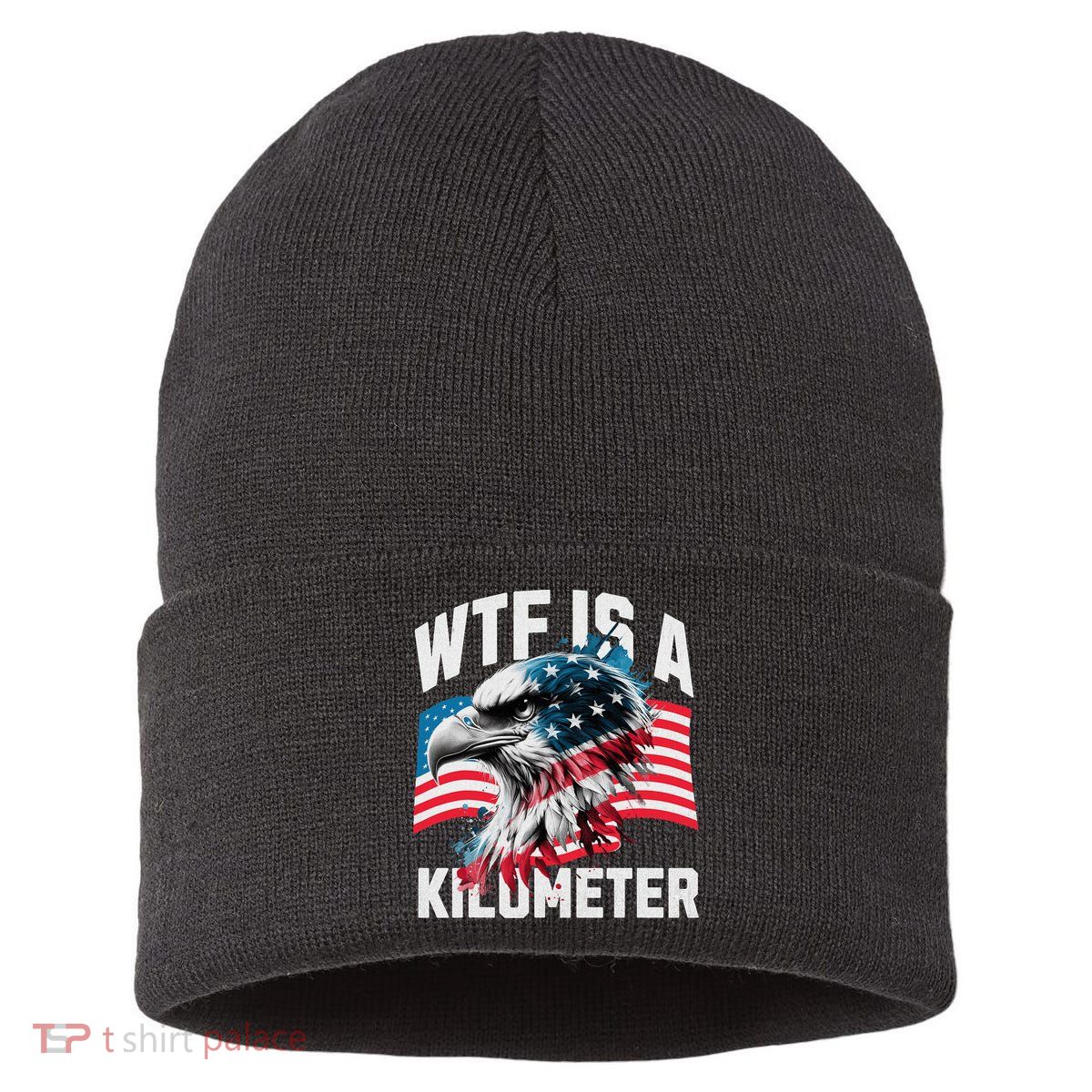 Wtf Is A Kilometer Eagle Badge American Vintage Humor Sustainable Knit Beanie