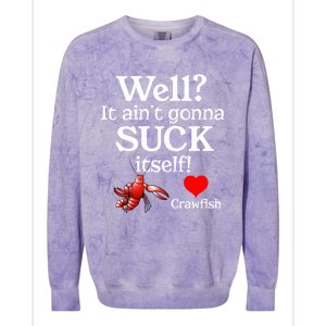 Well It Aint Gonna Suck Itself Crawfish Boil Season Gift Colorblast Crewneck Sweatshirt