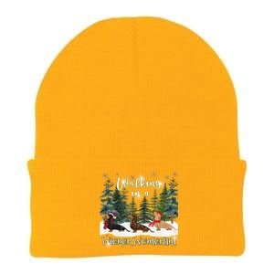 Walking In A Wiener Wonderland Dachshund Trio Cool Gift Knit Cap Winter Beanie