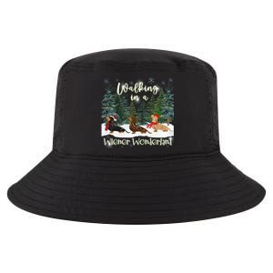 Walking In A Wiener Wonderland Dachshund Trio Cool Gift Cool Comfort Performance Bucket Hat