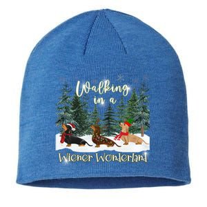 Walking In A Wiener Wonderland Dachshund Trio Cool Gift Sustainable Beanie