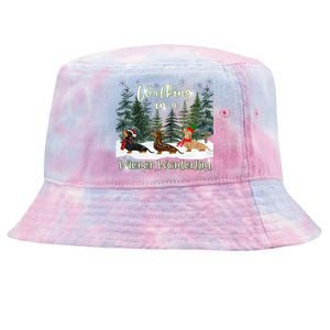 Walking In A Wiener Wonderland Dachshund Trio Cool Gift Tie-Dyed Bucket Hat