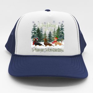 Walking In A Wiener Wonderland Dachshund Trio Cool Gift Trucker Hat