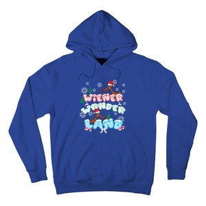 Walking In A Wiener Wonderland Dachshund Doxie Christmas Great Gift Hoodie