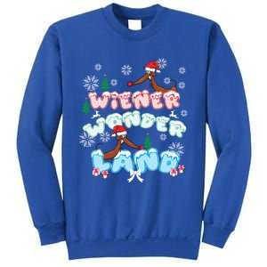 Walking In A Wiener Wonderland Dachshund Doxie Christmas Great Gift Sweatshirt