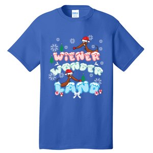 Walking In A Wiener Wonderland Dachshund Doxie Christmas Great Gift Tall T-Shirt