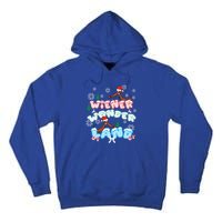 Walking In A Wiener Wonderland Dachshund Doxie Christmas Great Gift Tall Hoodie