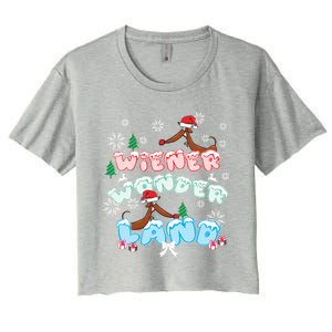 Walking In A Wiener Wonderland Dachshund Doxie Christmas Great Gift Women's Crop Top Tee