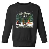 Walking In A Wiener Wonderland Dachshund Trio Toddler Sweatshirt