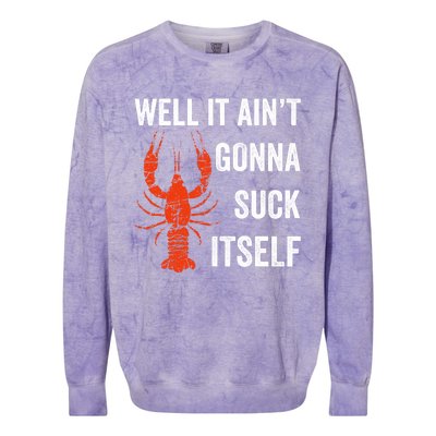 Well It AinT Gonna Suck Itself Crawfish Mardi Gras Gift Colorblast Crewneck Sweatshirt