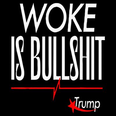 Woke Is Bullshit Trump Trendy Saying T-Shirt