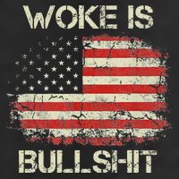 Woke Is Bullshit 11oz C Handle Ceramic Mug