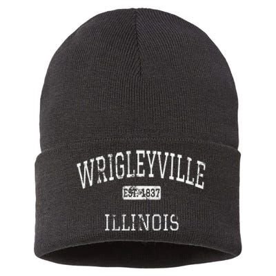 Wrigleyville Illinois Chicago Il Vintage Sustainable Knit Beanie