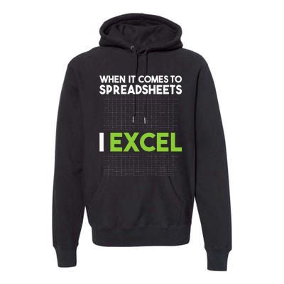 When It Comes To Spreadsheets I Excel Accounting Auditing Premium Hoodie