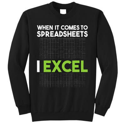 When It Comes To Spreadsheets I Excel Accounting Auditing Tall Sweatshirt