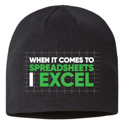 When It Comes To Spreadsheets I Excel Funny Accountant Gift Sustainable Beanie