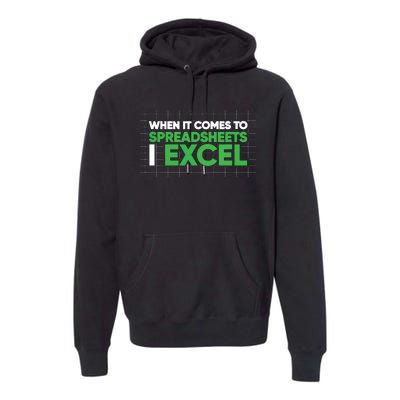 When It Comes To Spreadsheets I Excel Funny Accountant Gift Premium Hoodie