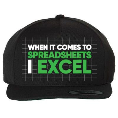 When It Comes To Spreadsheets I Excel Funny Accountant Gift Wool Snapback Cap