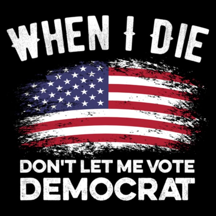 When I Die Don't Let Me Vote Democrat Anti Biden Flag Kids T-Shirt