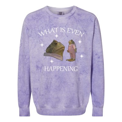 What Is Even Happening Frog Gift Colorblast Crewneck Sweatshirt