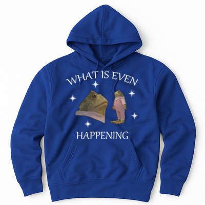 What Is Even Happening Frog Gift Hoodie