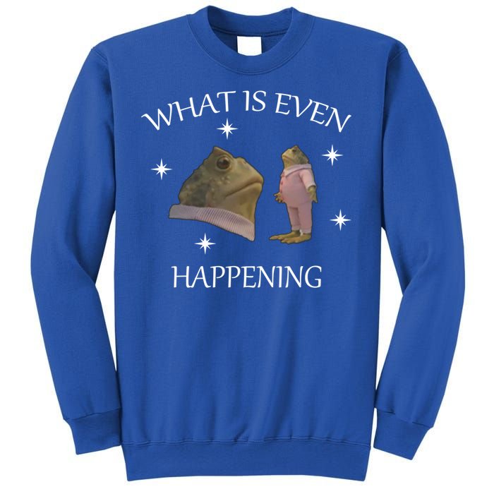 What Is Even Happening Frog Gift Sweatshirt