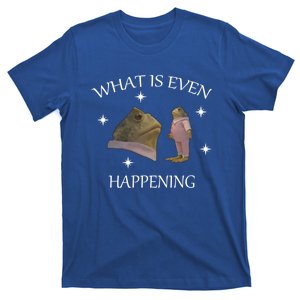 What Is Even Happening Frog Gift T-Shirt