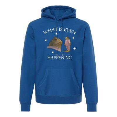 What Is Even Happening Frog Gift Premium Hoodie