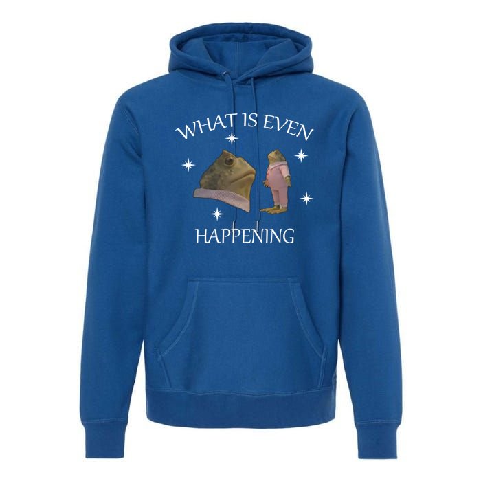 What Is Even Happening Frog Gift Premium Hoodie