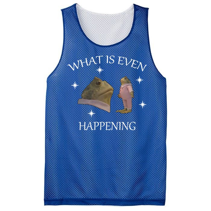 What Is Even Happening Frog Gift Mesh Reversible Basketball Jersey Tank