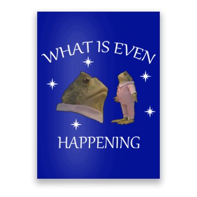 What Is Even Happening Frog Gift Poster