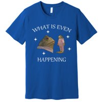 What Is Even Happening Frog Gift Premium T-Shirt