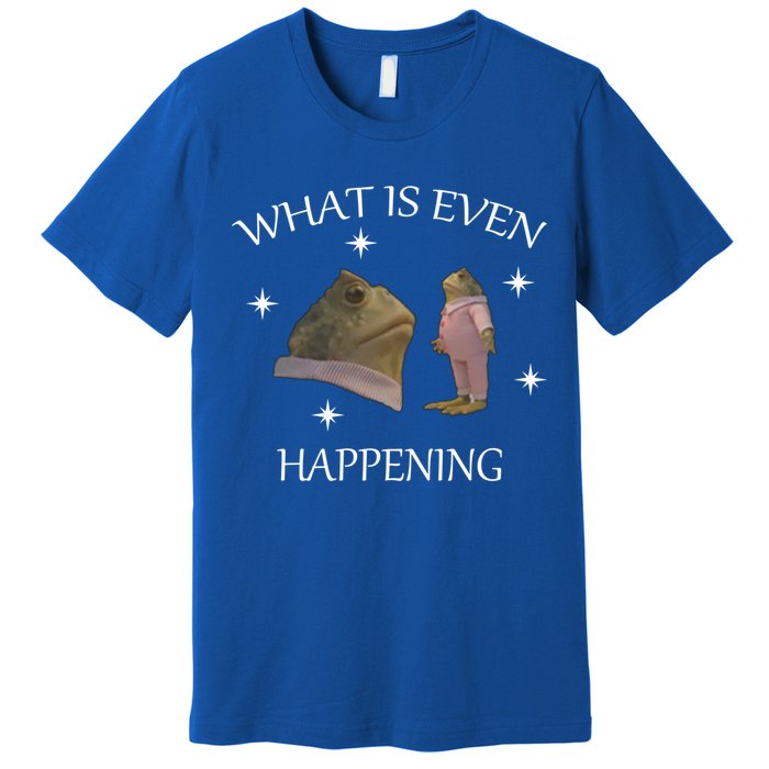 What Is Even Happening Frog Gift Premium T-Shirt