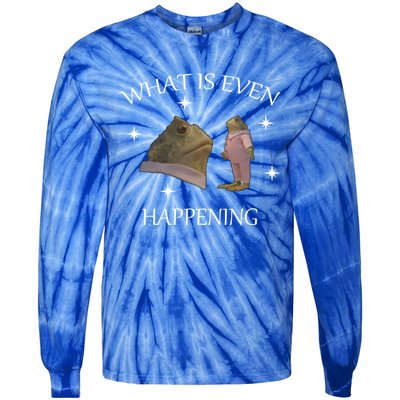 What Is Even Happening Frog Gift Tie-Dye Long Sleeve Shirt